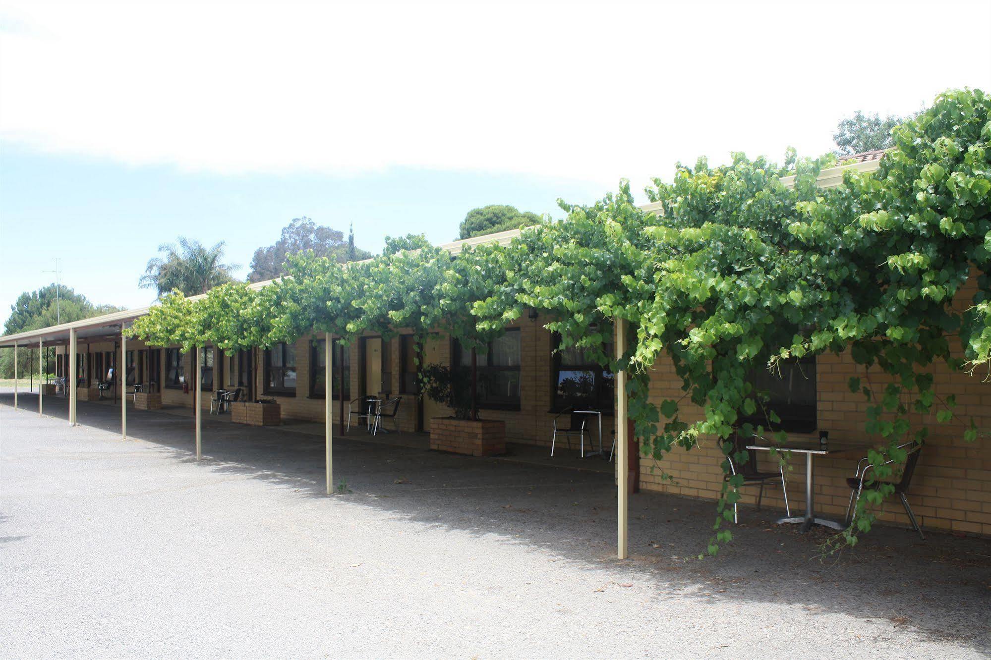 Angaston Vineyards Motel Eksteriør billede