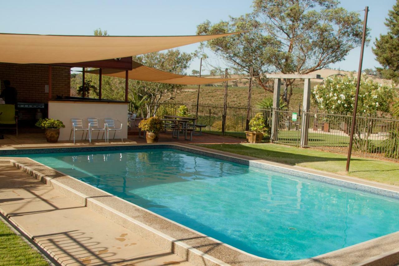 Angaston Vineyards Motel Eksteriør billede