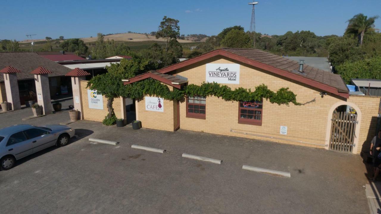 Angaston Vineyards Motel Eksteriør billede