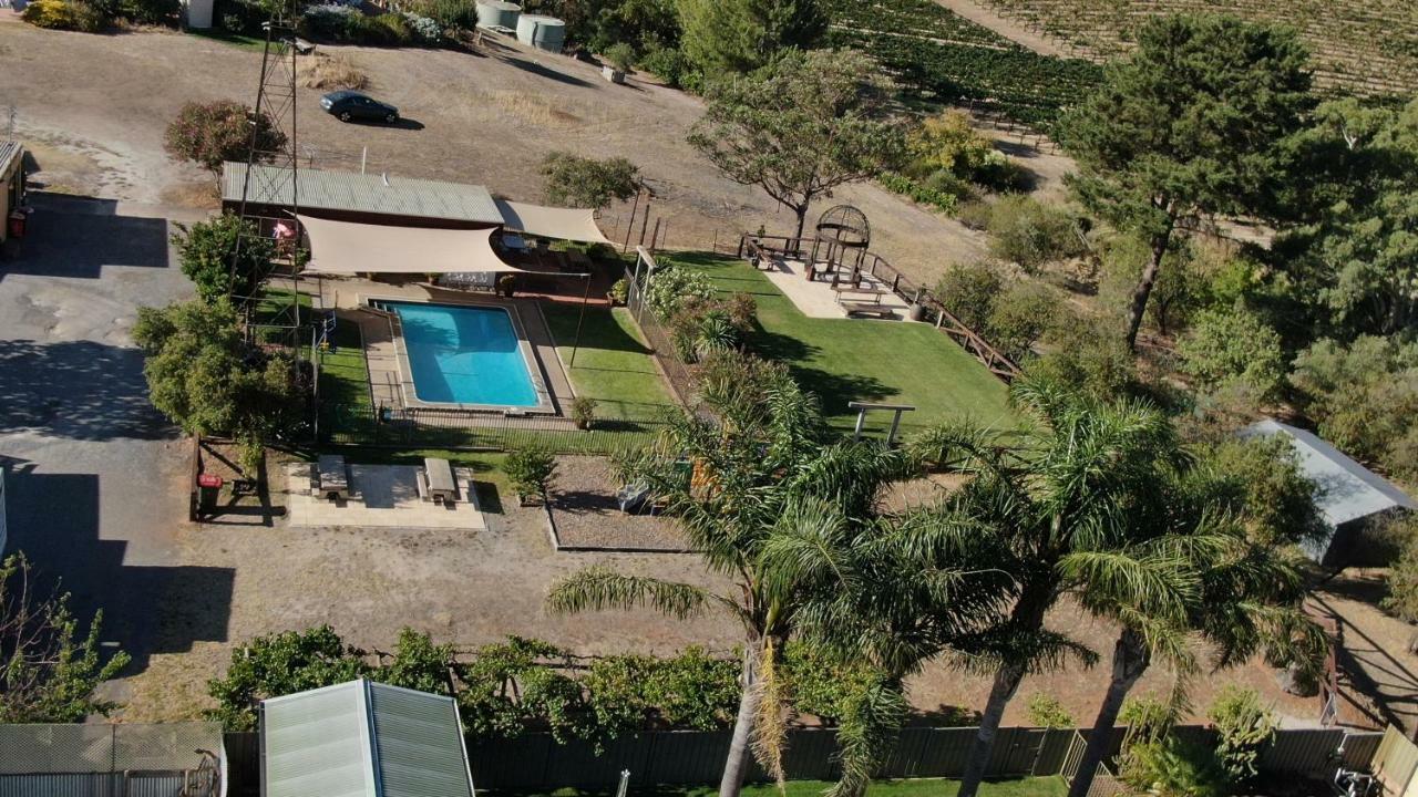 Angaston Vineyards Motel Eksteriør billede