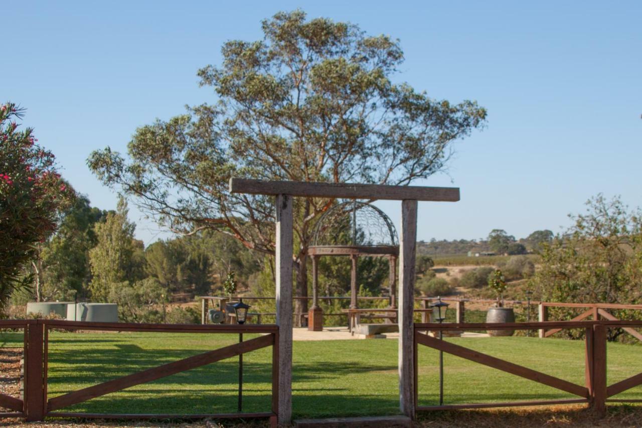 Angaston Vineyards Motel Eksteriør billede